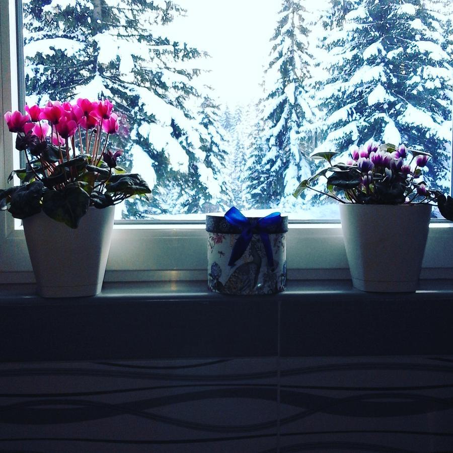 Apartment Luka Жабляк Номер фото